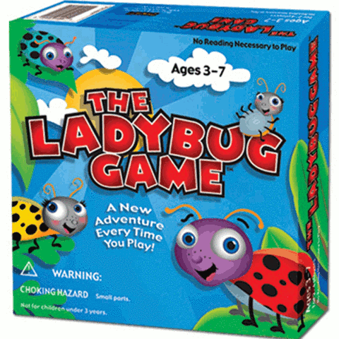 The Ladybug Game Box